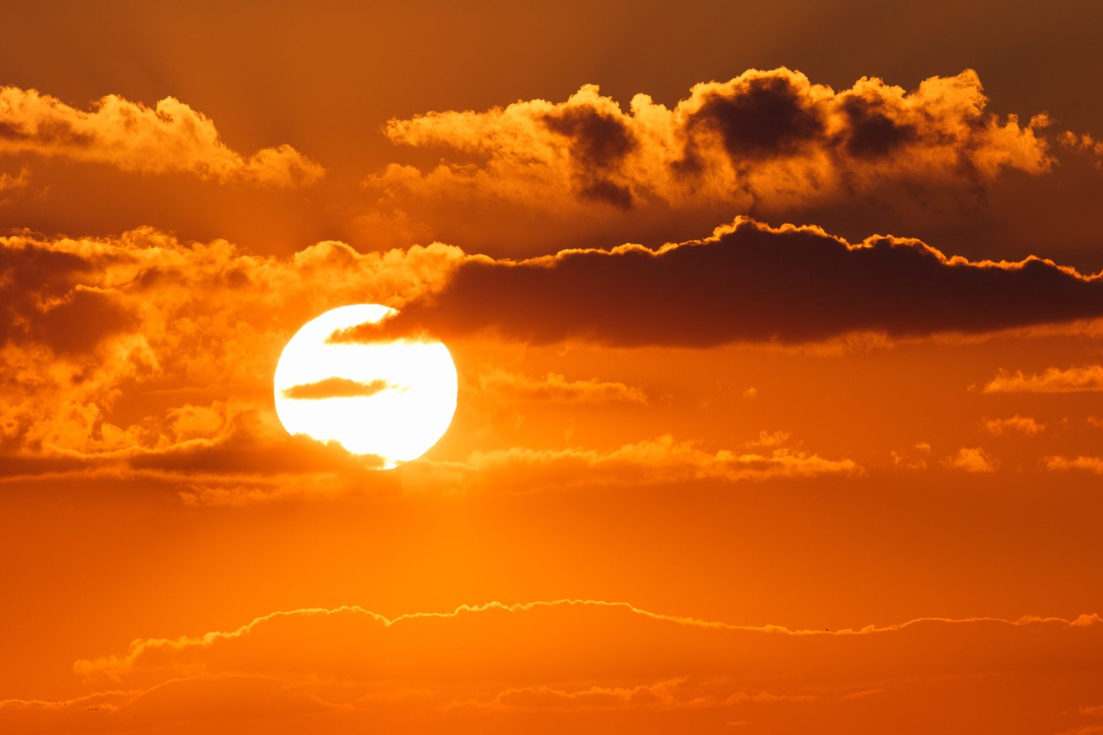 Sol e tempo quente.
