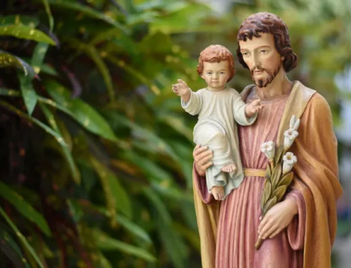 Seminário São José promove festividades em homenagem ao padroeiro