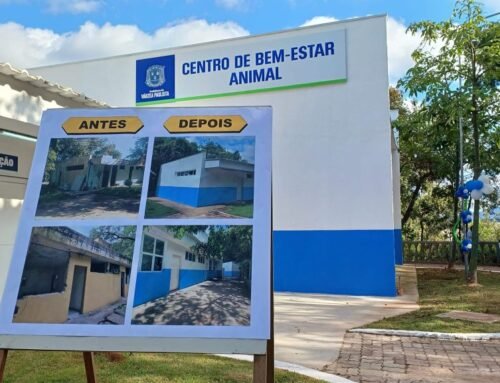 Cão é resgatado em estado grave e caso de maus-tratos é investigado em Várzea Paulista