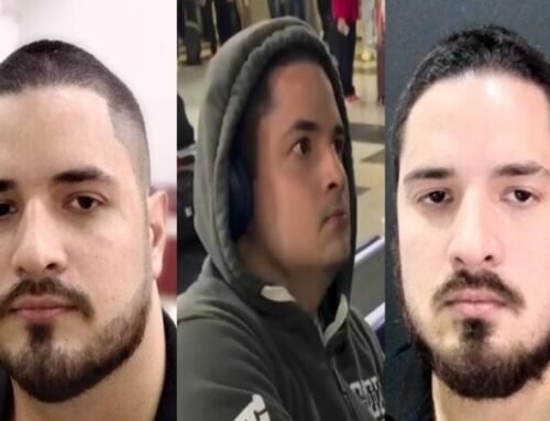 Motorista suspeito de atropelar e matar cachorro é preso ao tentar fugir para São Paulo