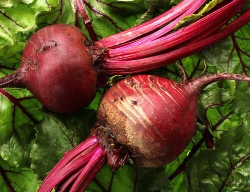 Suco de beterraba: aliado natural para o coração e a circulação