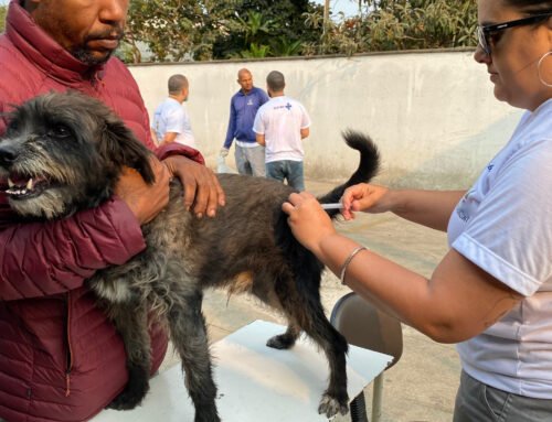 Itupeva abre agendamento para vacinação antirrábica de cães e gatos a partir de 5 de maio