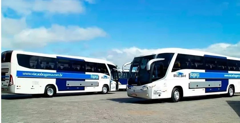 Auto-viacao-jpeg