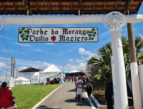 Festa do Morango de Atibaia e Jarinu espera vender 80 toneladas da fruta