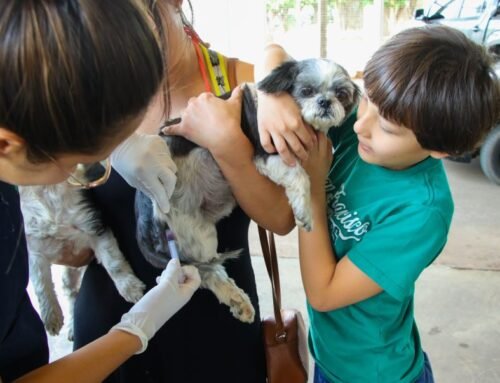 Francisco Morato promove vacinação antirrábica para cães e gatos nesta quinta-feira