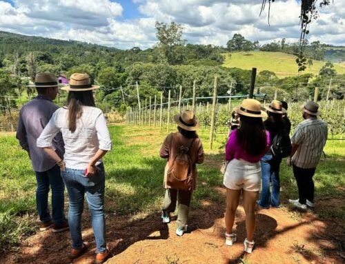 Projeto de turismo rural em São Roque une agroecologia, cultivo de alimentos e contato com a natureza