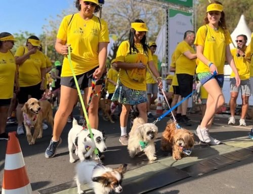 Mairiporã promove Cãominhada neste sábado