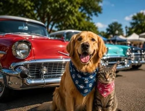 Retrô Pet-Car une carros antigos e adoção em Caieiras