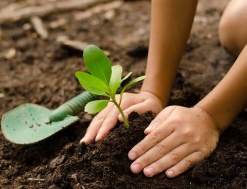 Bragança Paulista recebe Marcha pelo Clima neste domingo