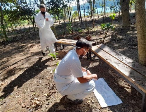 Jundiaí reforça monitoramento de carrapatos e alerta para febre maculosa